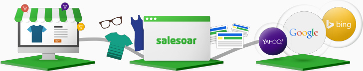 Salesoarの特徴